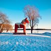 Zweden Winter Nieuw 18